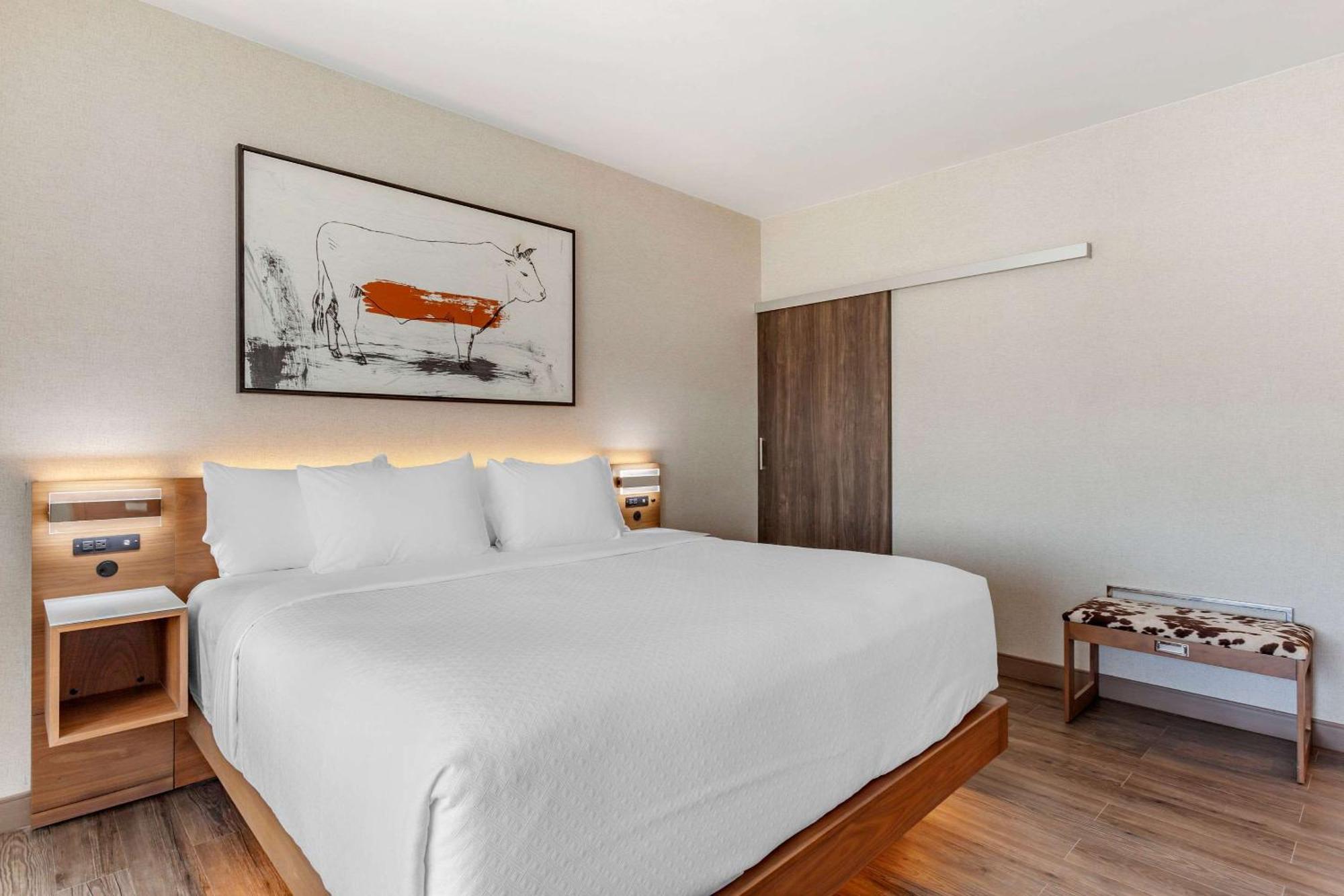 Cambria Hotel Richardson - Dallas Eksteriør billede