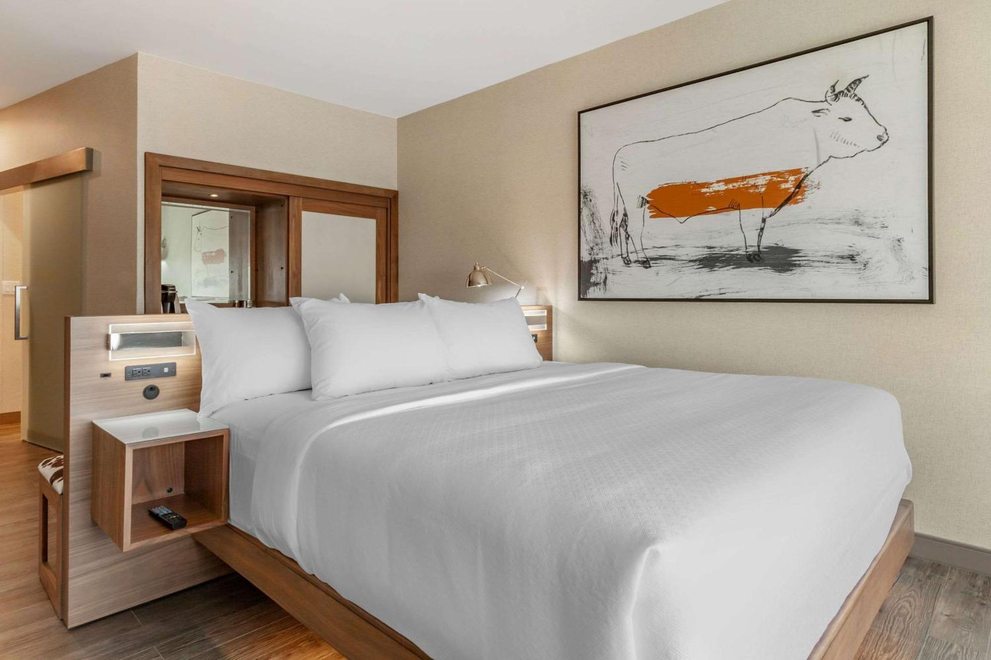 Cambria Hotel Richardson - Dallas Eksteriør billede